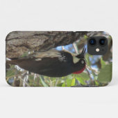 ドングリのキツツキのiPhoneの場合 Case-Mate iPhoneケース (裏面(横))