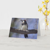 ドングリのキツツキ カード (黄色い花)