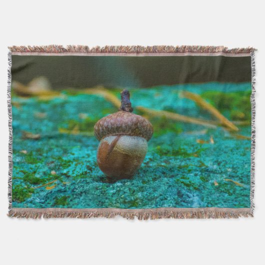 ドングリのブランケット スローブランケット (正面)