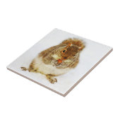 ドングリのリス タイル (側面)