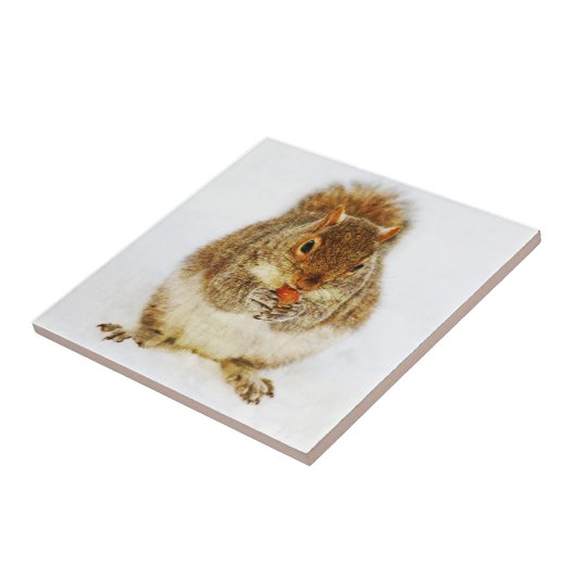 ドングリのリス タイル (側面)