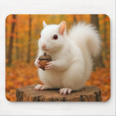 ドングリを持つ白リス マウスパッド (正面)