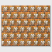 ドングリを持つ白リス ラッピングペーパー (フラット)