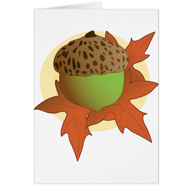 ドングリ (正面)