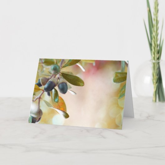 ドングリ カード (正面)