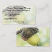 ドングリ 名刺 (正面/裏面)