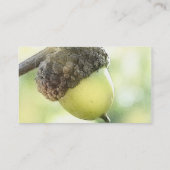 ドングリ 名刺 (裏面)