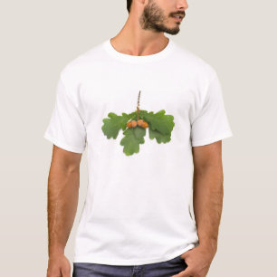 ドングリ Tシャツ