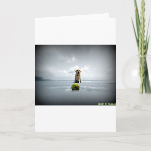 ドングルとボール.jpg シーズンカード (正面)