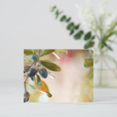 ドングルズ ポストカード (スタンド正面)