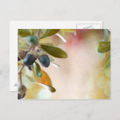 ドングルズ ポストカード (正面/裏面)