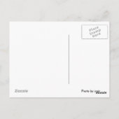 ドングルズ ポストカード (裏面)