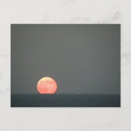 ドンドロスエニョスヴィヴェン ポストカード