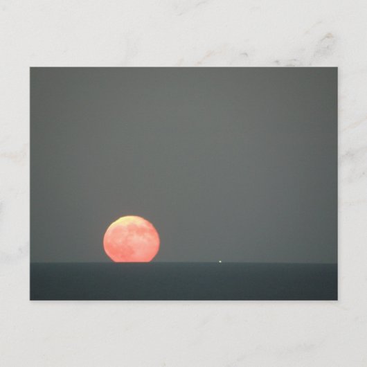 ドンドロスエニョスヴィヴェン ポストカード (正面)