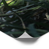 ドンフアンウルフ ポスター (角)