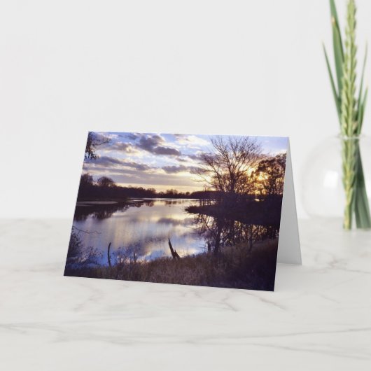 ドン枝 カード (正面)