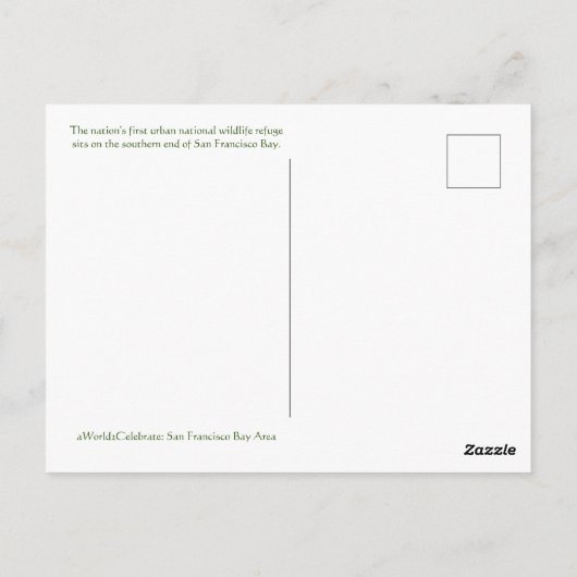 ドン・エドワーズ・サンフランシスコ・ベイからの挨拶！ ポストカード (裏面)