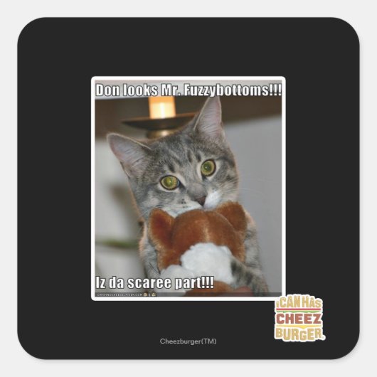 ドン・ルックス スクエアシール (正面)