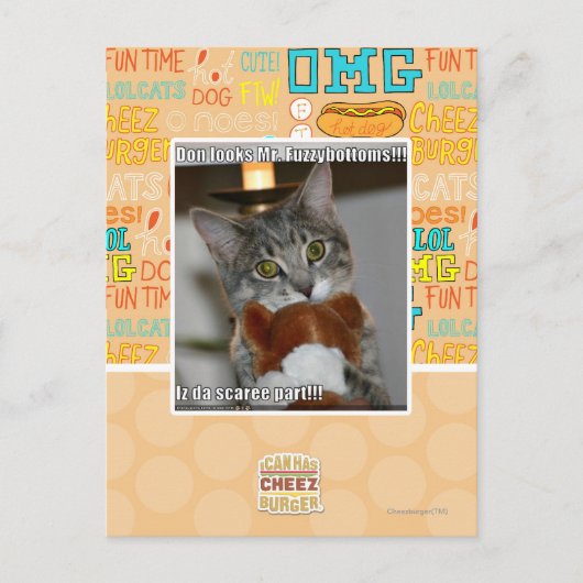 ドン・ルックス ポストカード (正面)