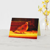 ドーかわいらしブ カード (黄色い花)