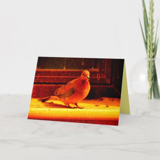 ドーかわいらしブ カード (正面)