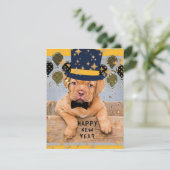 ドーグ・ド・ボルドーから新年のご挨拶 シーズンカード (スタンド正面)