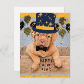 ドーグ・ド・ボルドーから新年のご挨拶 シーズンカード (正面/裏面)