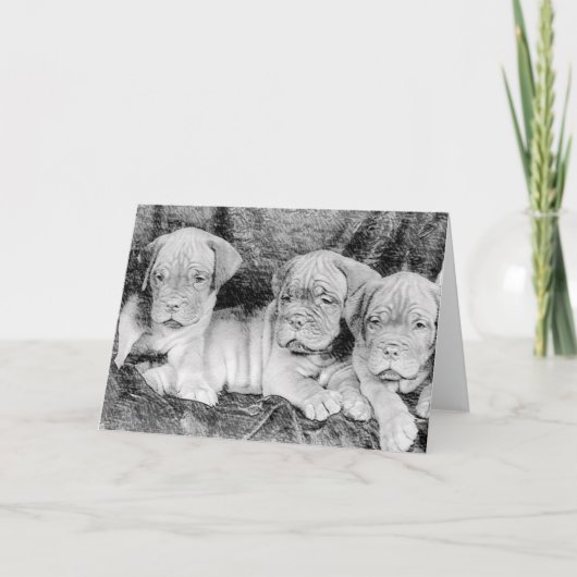 ドーグ·ド·ボルドー·グリーティング·カード カード (正面)