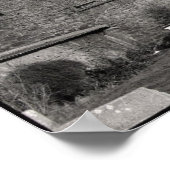 ドーセットのドライ波止場 ポスター (角)