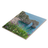 ドーセットダードルドアビューのセラミックタイル タイル (側面)