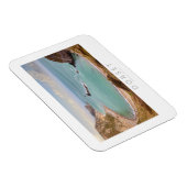 ドーセット マグネット (右側)