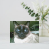 ドーデンブルー ポストカード (スタンド正面)