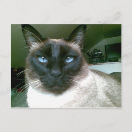 ドーデンブルー ポストカード (正面)