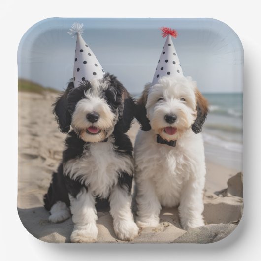 ドードルお祝いプレート ペーパープレート (正面)