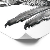 ドードルアートカンガルー ポスター (角)