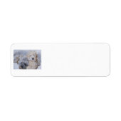 ドードルズ2 ラベル (正面)