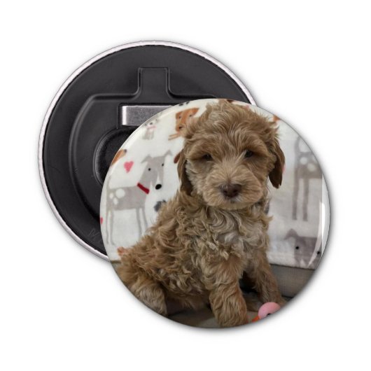 **ドードルパピー**ボトルオープナー 栓抜き (正面)