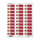 ドードルボウ写真レッドプリド差出人住所ラベル ラベル (フルシート)