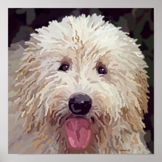 ドードル絵画のポスター ポスター (正面)