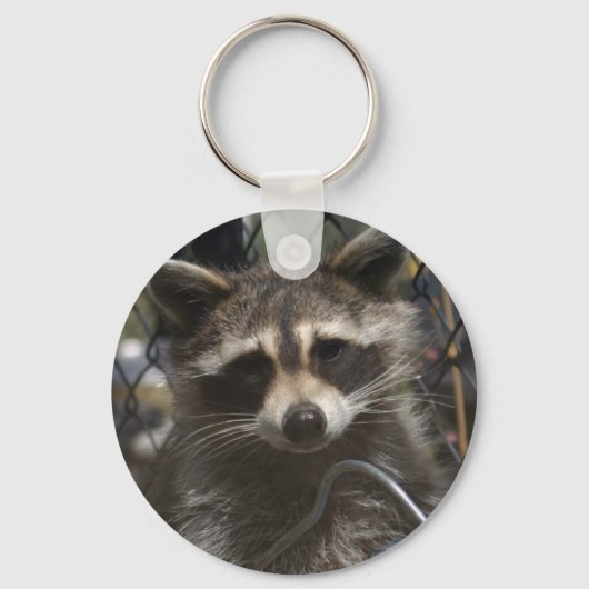 ドードル759 キーホルダー (正面)