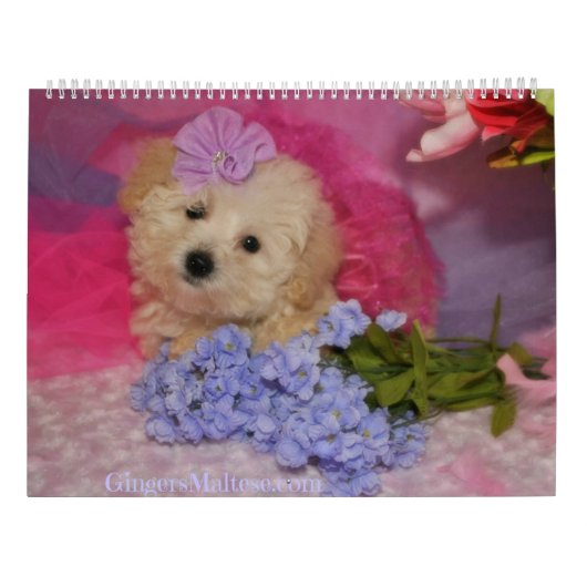 ドードル·ワンピー·ドッグ·カレンダー カレンダー (裏面)