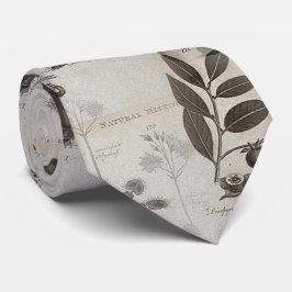 ドードーの歴史の自然の生物学 ネクタイ