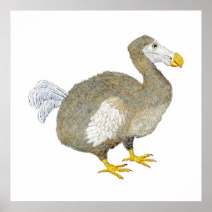 ドードーの鳥のアートワーク ポスター