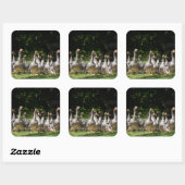 ドードーンのステッカーにゲーゼ スクエアシール (シート)