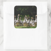 ドードーンのステッカーにゲーゼ スクエアシール (バッグ)