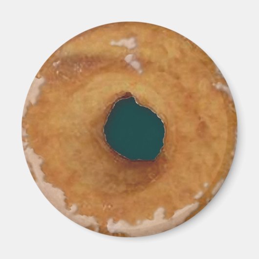 ドーナツ型おもしろい磁石回収 マグネット (正面)