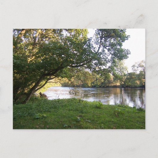 ドーネ城川 ポストカード (正面)