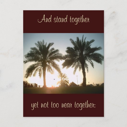 ドーハのヤシの木 ポストカード (正面)