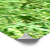 ドーバーマンのポスター ポスター (角)