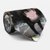 ドーバーマンの接写 ネクタイ (ロール)